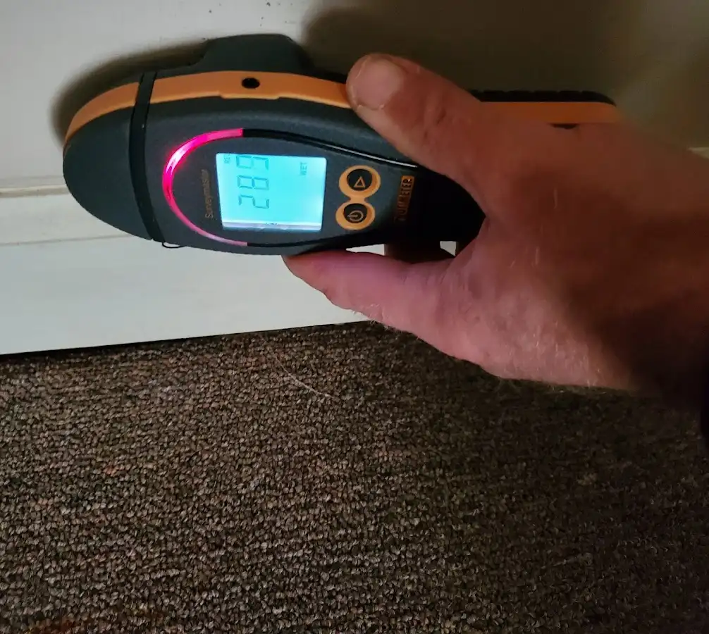 Moisture detection at baseboard during Sewage Cleanup & Sanitation in Tell City